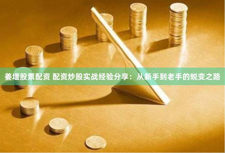 姜堰股票配资 配资炒股实战经验分享：从新手到老手的蜕变之路