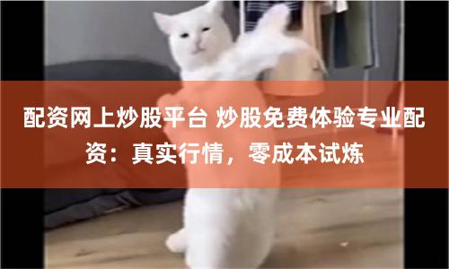 配资网上炒股平台 炒股免费体验专业配资：真实行情，零成本试炼
