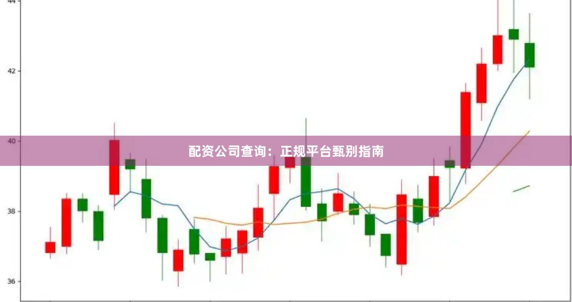 配资公司查询:正规平台甄别指南